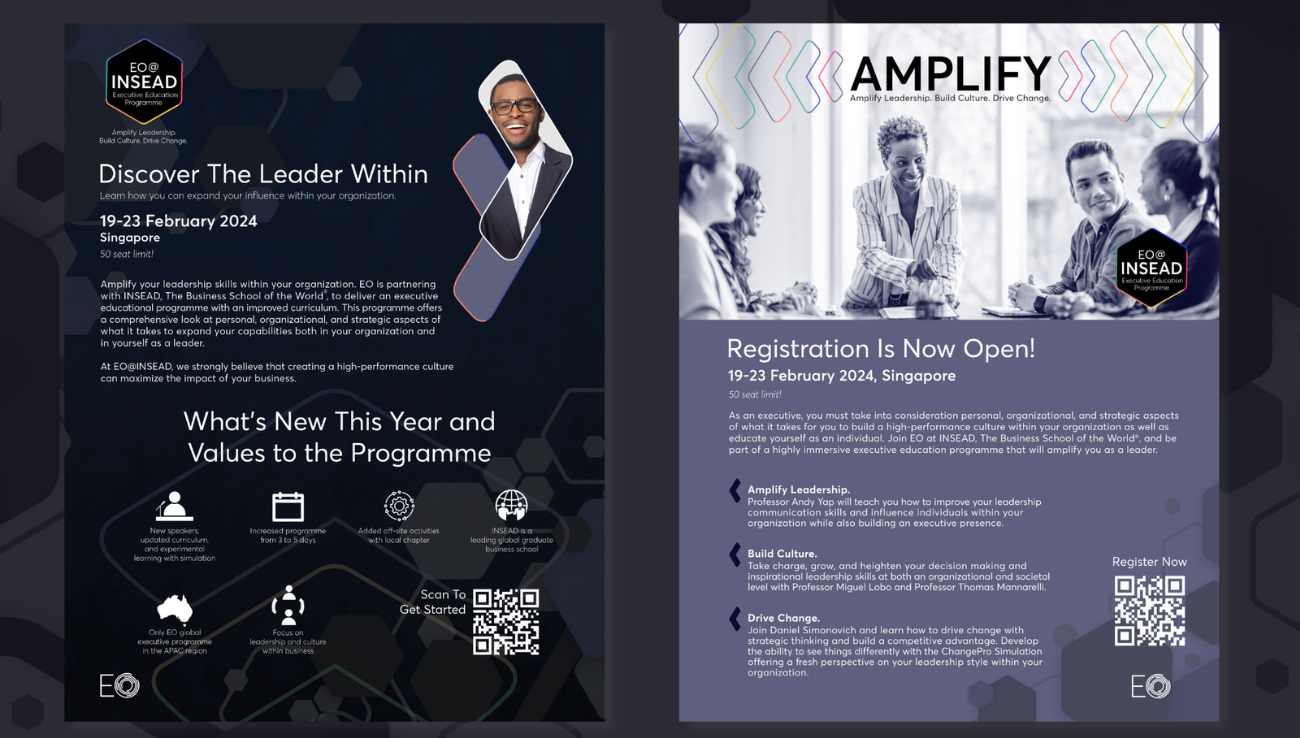 EO INSEAD Project Image